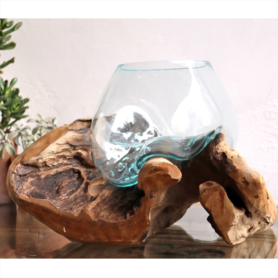 流木 フラワーベース 花瓶 H23xW34xD24cm 【現品】ガラスベース glass planter/flower vase
