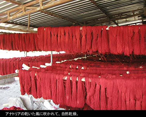 アナトリアの風に吹かれ、自然乾燥される赤い毛糸